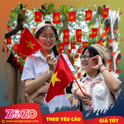 Cờ Việt Nam cầm tay